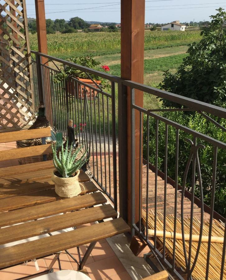 B&B La Nonnina Del Cilento Казаль-Велино Экстерьер фото
