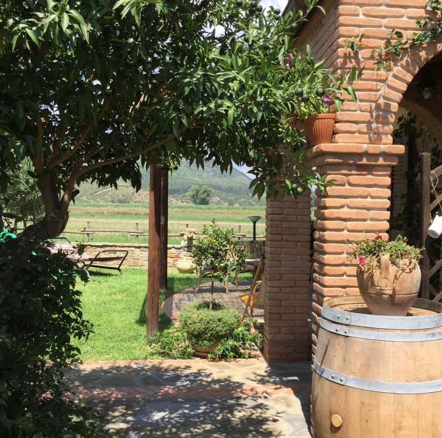 B&B La Nonnina Del Cilento Казаль-Велино Экстерьер фото